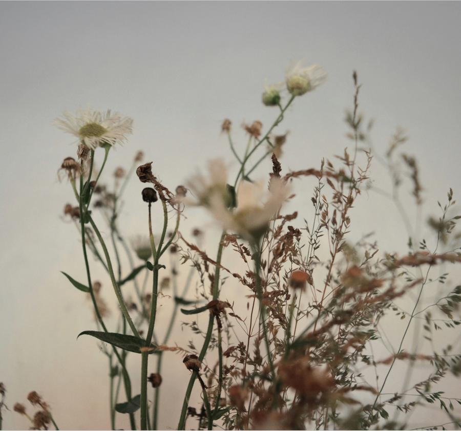 Luxe parfums voor de lente